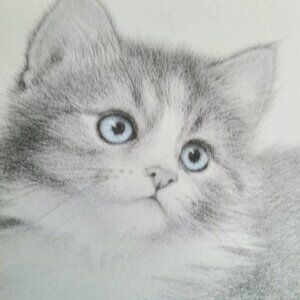 Signed by Virginia Miller framed art. Kitten portrait.